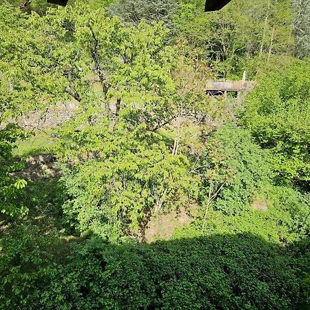 Appartement Malleval Chez Jeanne Bagian luar foto